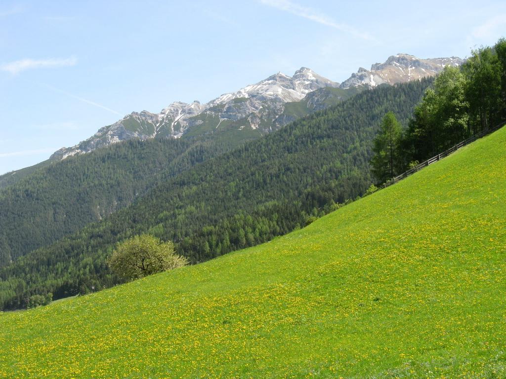 Ferienwohnung Halder Neustift im Stubaital Eksteriør billede
